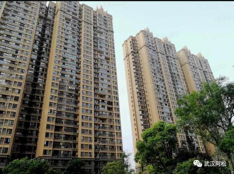 之前买的都笑开花了!光谷三环边77平两房!旁边有好学校!