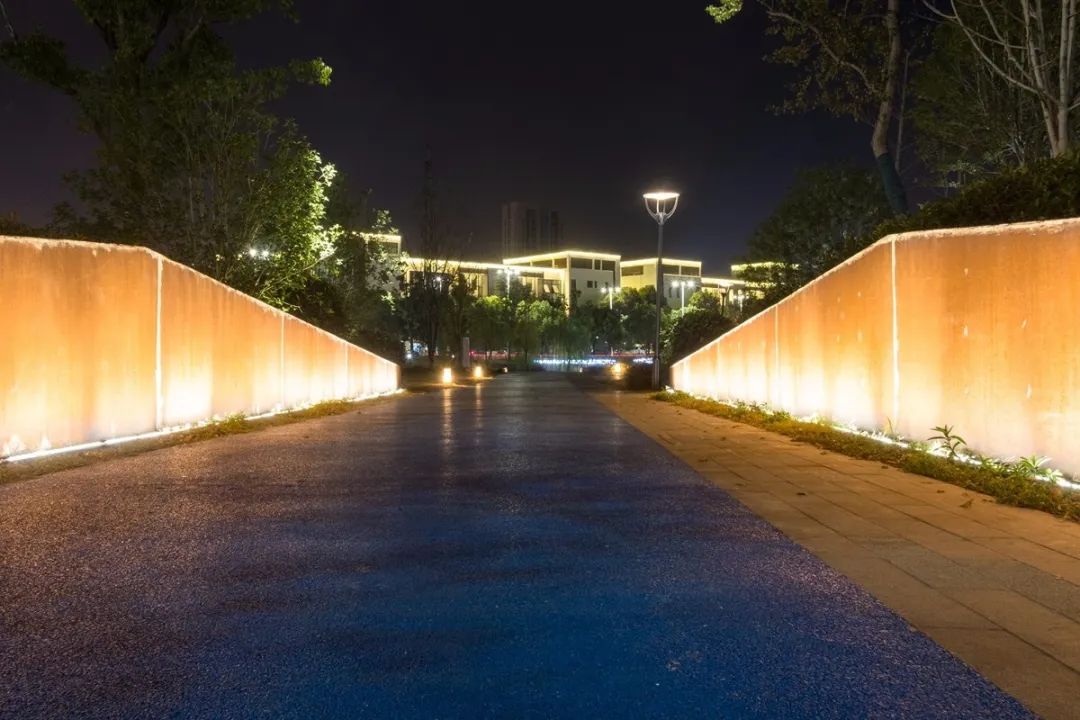 华高关注丨夜相城，嗨起来