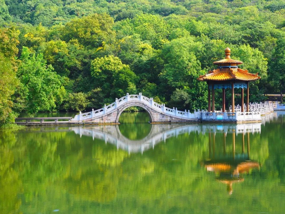 安徽旅游必去十大景点徽州古城,安徽九大经典旅游景点你去过几个