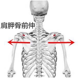 瑜伽越练肩膀越僵硬咋回事,肩膀厚练瑜伽可以改变吗