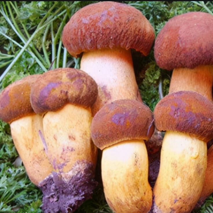 80后在山西创业,95后太原创业开一家餐饮