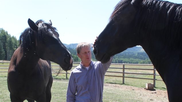 回归大自然的农场,重返自然生态农场优惠