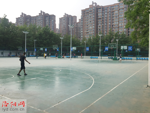 洛阳免费球场官网,洛阳王城球场