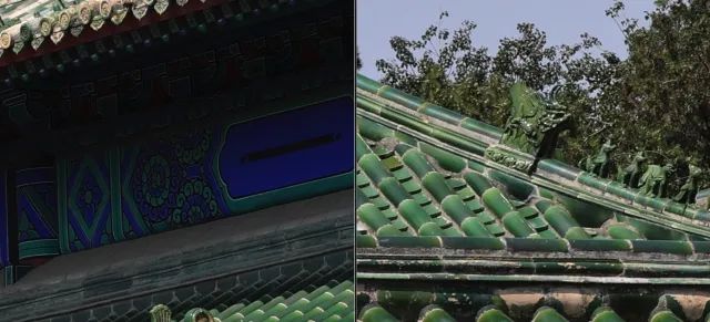 佳能rf100-500mm镜头拍鸟,佳能长焦相机100倍