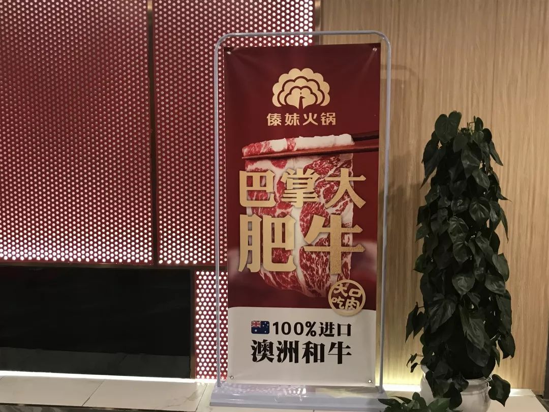 傣妹火锅的兴衰,傣妹火锅品牌策划