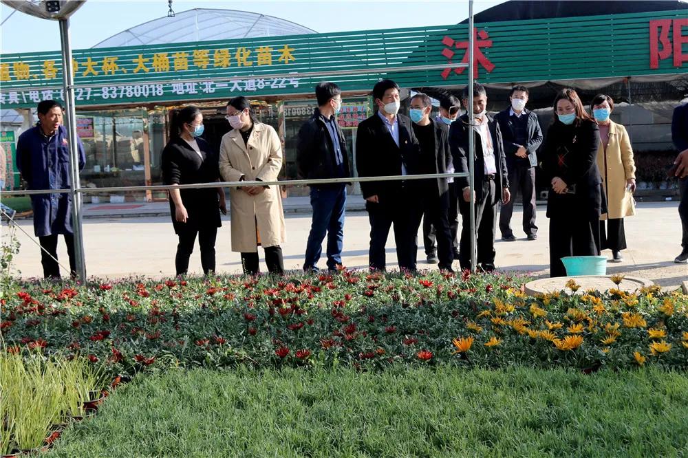 中国沭阳国际花木城在哪个城市,沭阳花木城的发展