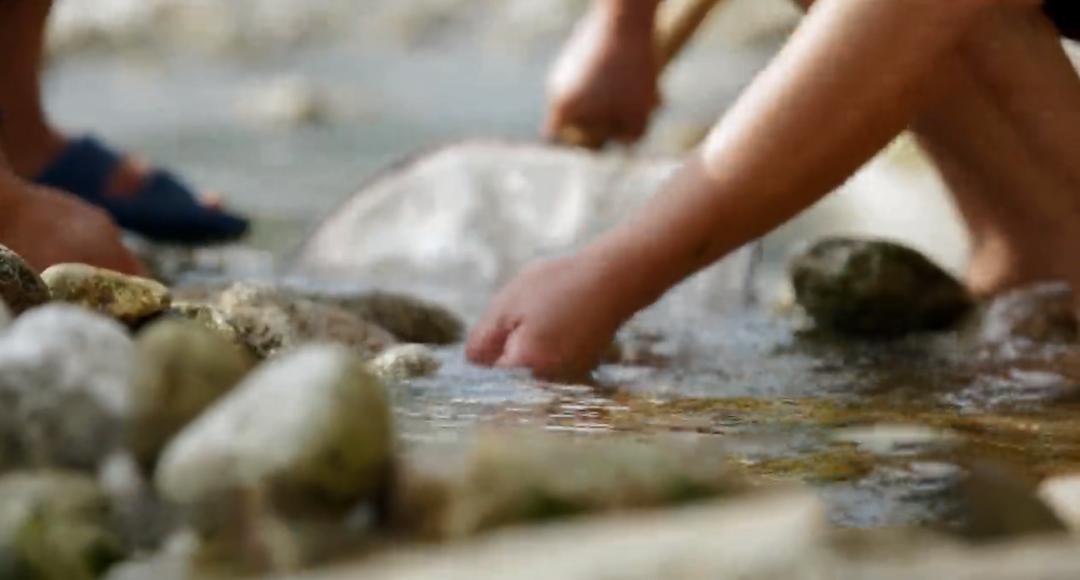 武功山哪种鱼好吃,武功山最好吃的鱼