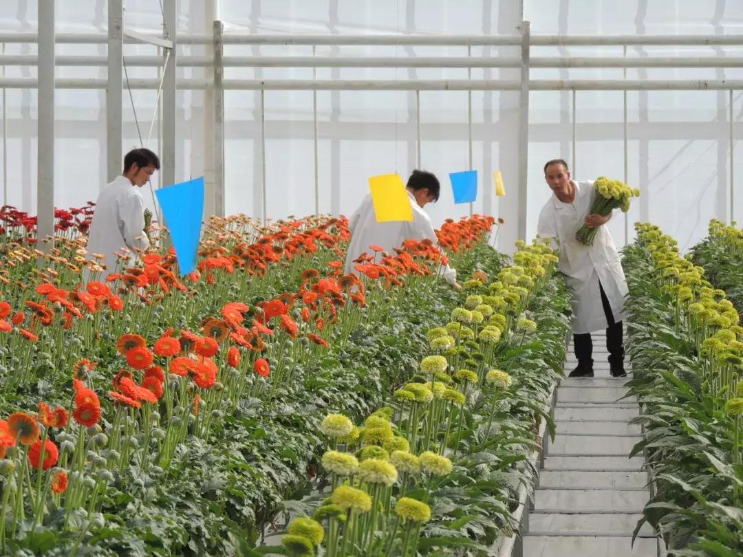 开远有多远,开远是哪