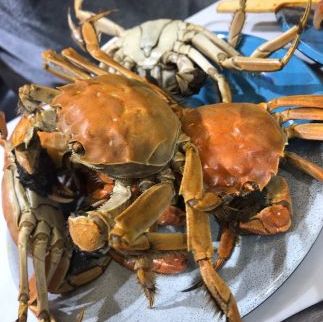 青岛猪肉价格还能降吗,猪肉怎么又涨价了什么原因