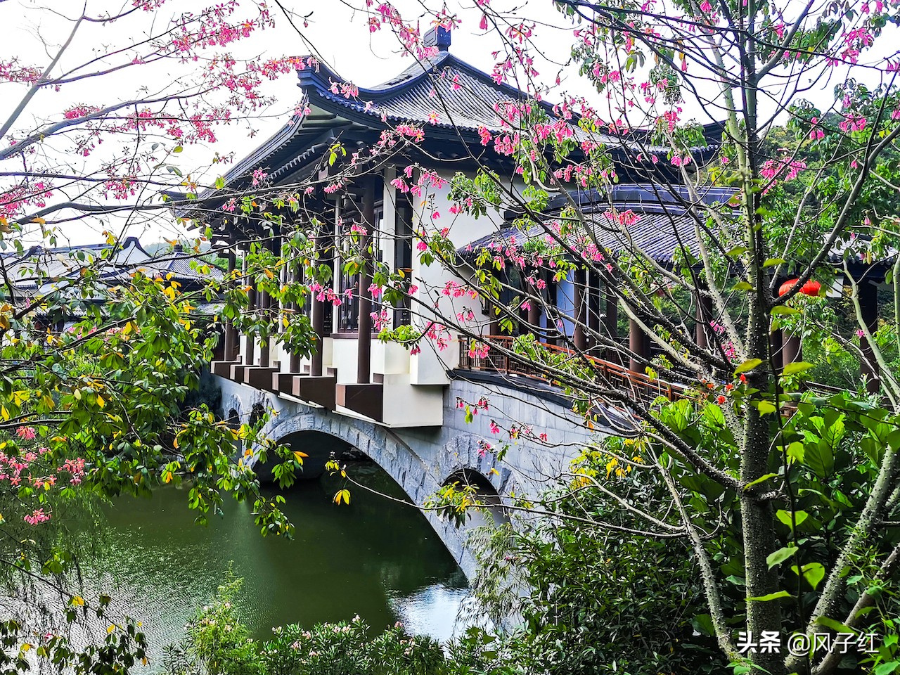 惠州亚洲第一温泉,惠州十大顶级户外温泉酒店