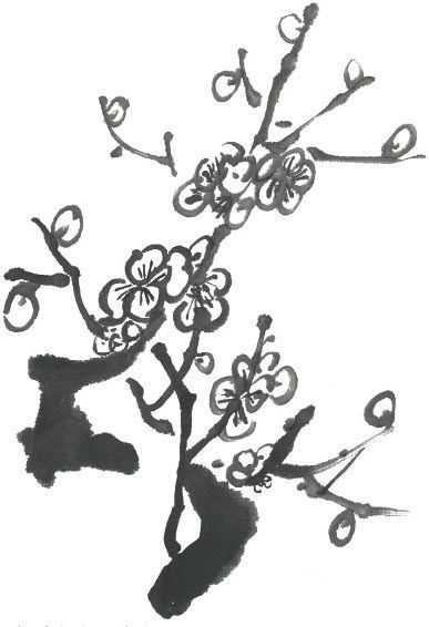 零基础梅花花朵入门画法,零基础学国画梅花入门步骤