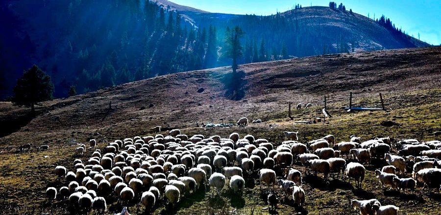 甘孜稻城亚丁景区圣水门优惠,甘孜免门票景点到什么时候