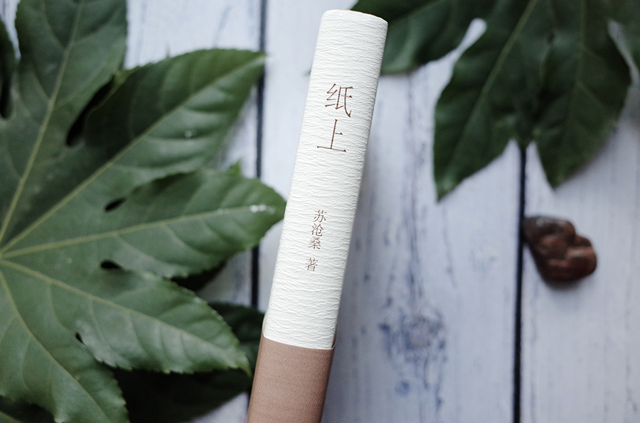 苏沧桑《纸上》,《纸上》苏沧桑