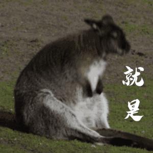 《红楼梦》的细枝末节中，隐藏着泼天富贵