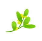 钟鼓楼回忆,荣县中学高中回忆