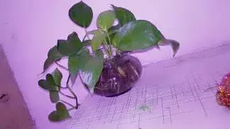 耶稣讲人生的意义,耶稣说每个人都是有罪的需要赎罪