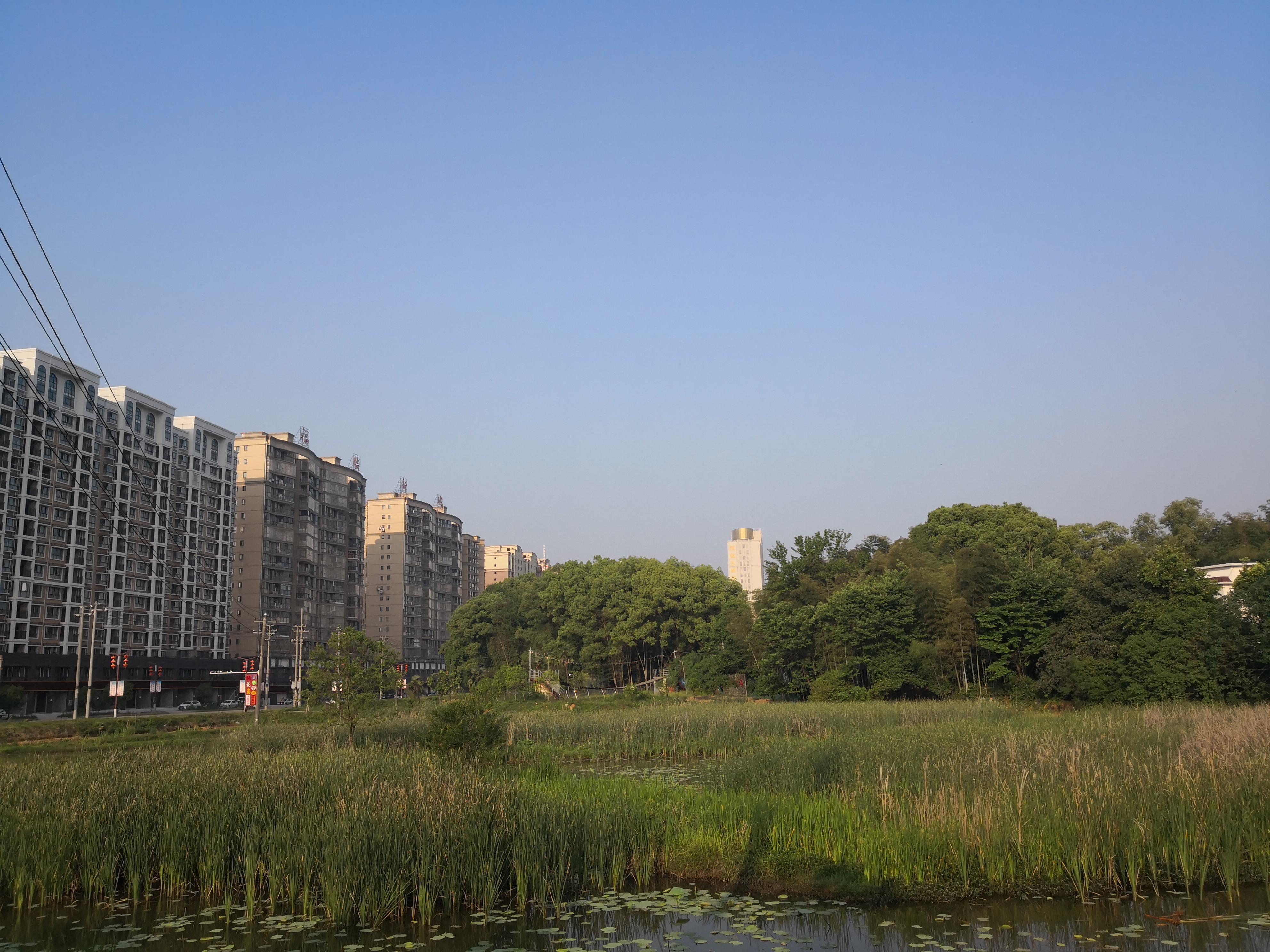 这些动物，用你们的家乡话怎么说？（四）