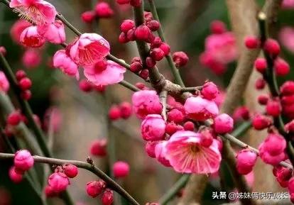 2021立春时间几点几分是早立春吗,2022年立春当天是几点立春