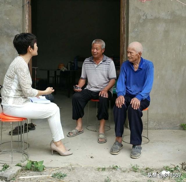 神奇古树奇观,神奇古树