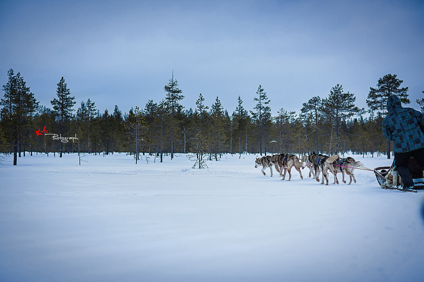 果小姐的慢生活之冰雪奇缘