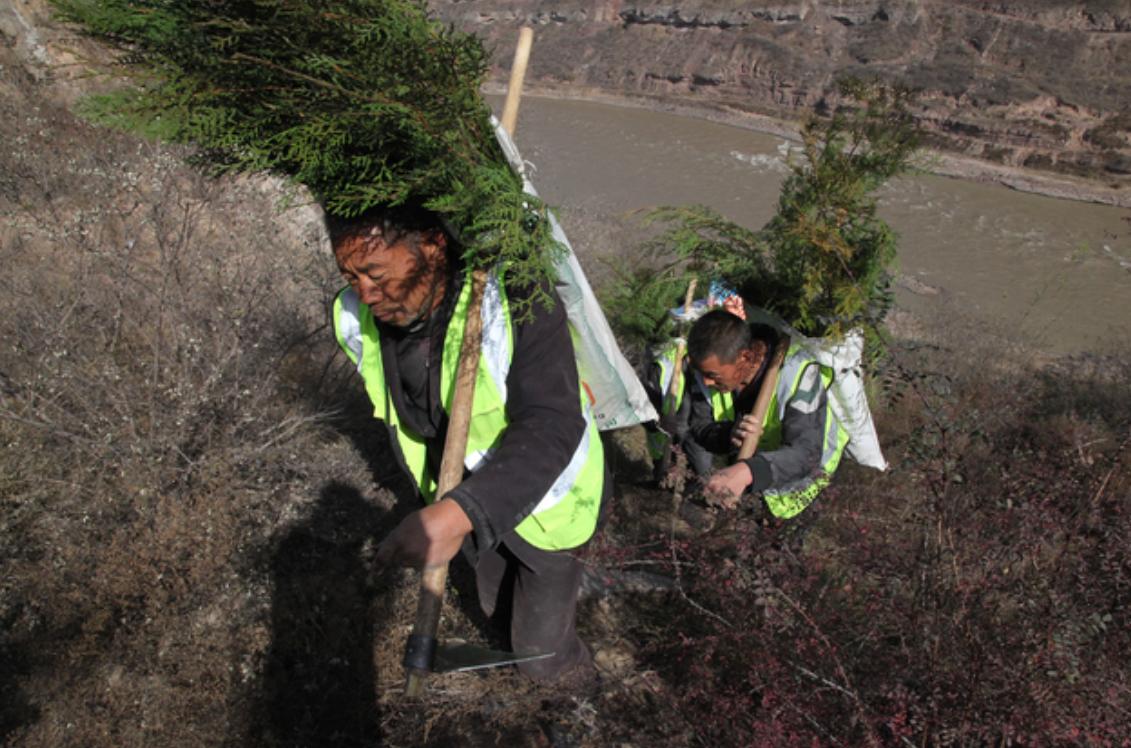 植树造林40年,黄河水变清中国植树造林