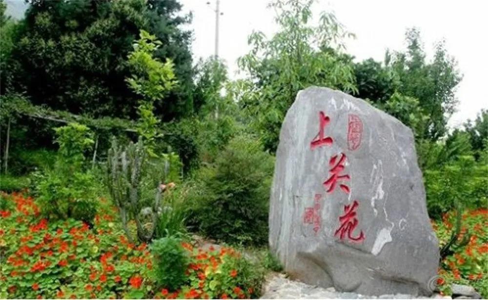 大理人民幸福感高的原因,在大理生活快乐轻松吗