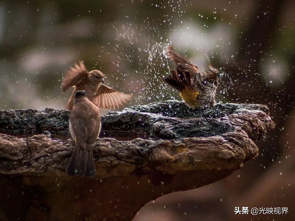 捕捉美好瞬间30张照片,捕捉震撼的瞬间