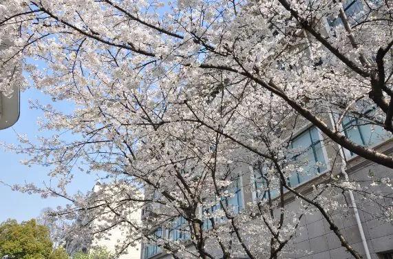 杭州十四中一群毕业生建了微信群，全是清华、北大、复旦…聊天内容却让人流口水