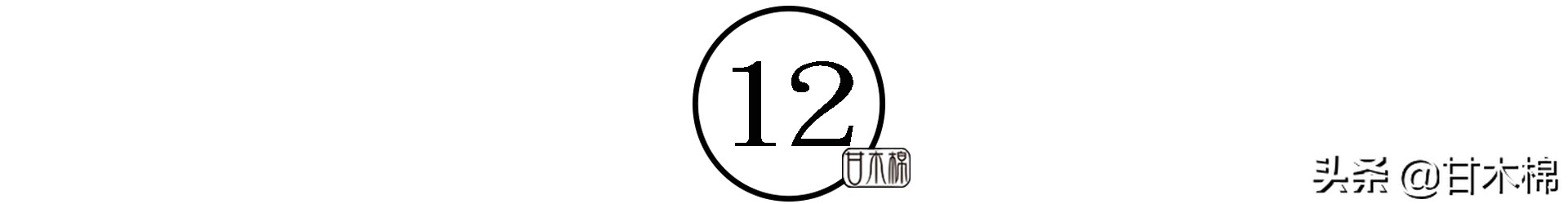 童年野果子,儿时的野果子总让人回味无穷