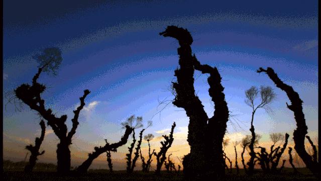 【聚焦】内蒙古一场注定不寻常的赛事即将幕启奈曼!!!