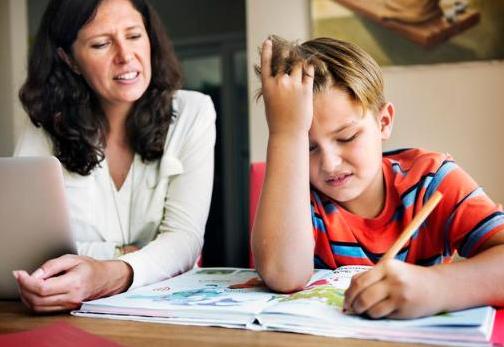 小学50字作文大全,小学生作文看得老师泪流满面