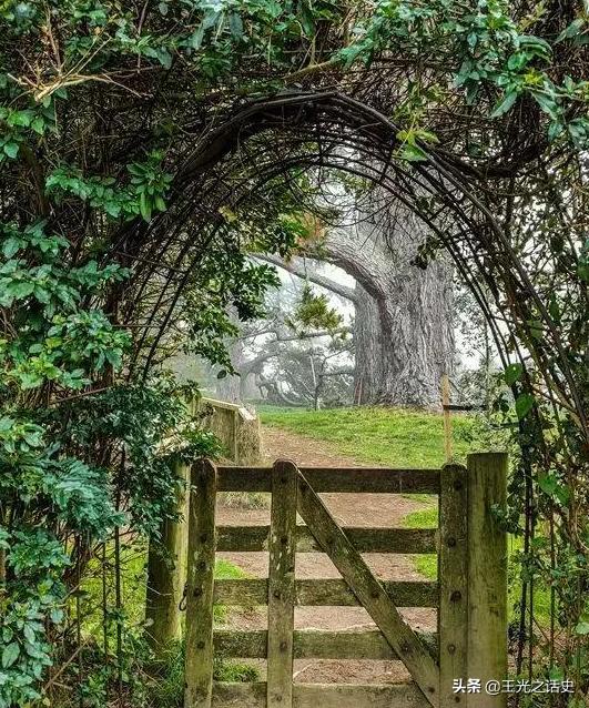 新西兰有多贴近大自然,新西兰是个神奇而令人向往的地方