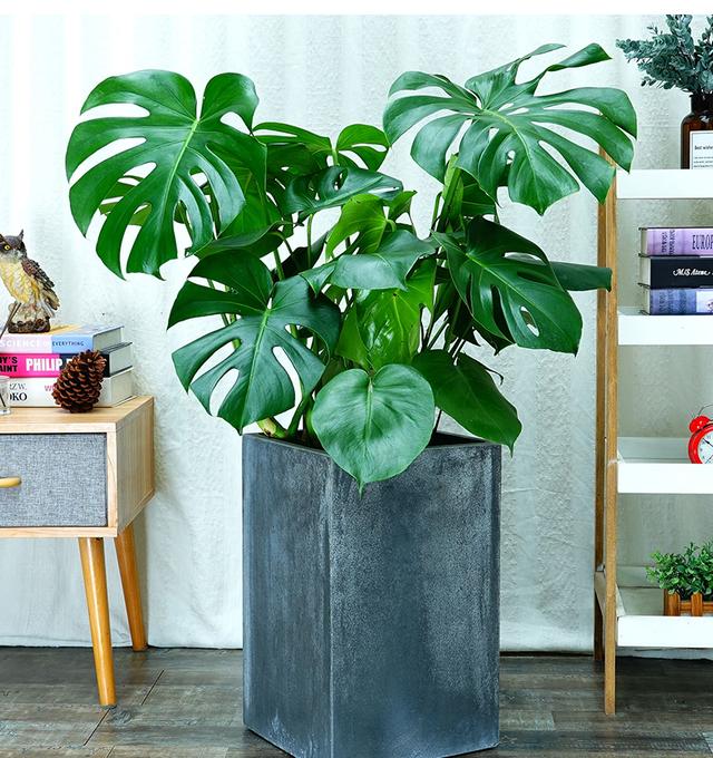 房子装修小技巧大全,房子如何装修不过时又好看