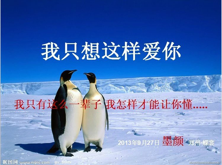 我只想说声爱你,只想再爱你一次