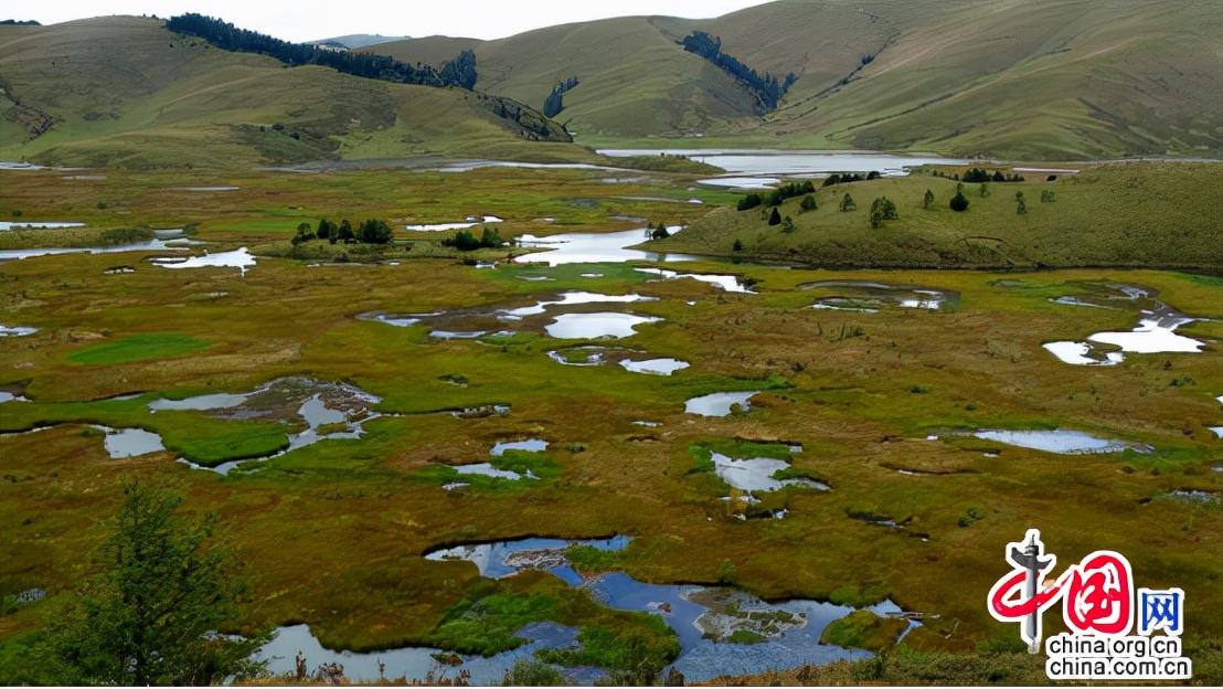 最后的香格里拉完整版免费观看,最后的香格里拉纪录片完整版