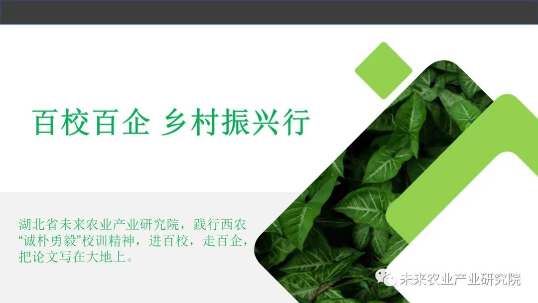 鐧炬牎鍗冧紒涓囦汉鍔╁姏涔℃潙鎸叴鎻槼,鐧炬牎涓囦汉鍗冧紒涔℃潙鎸叴