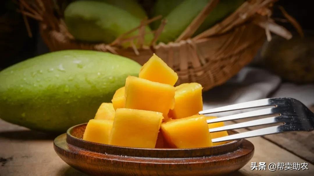 芒果季不能错过的芒果：汁多、肉Q、香甜，吃起来真的很过瘾！