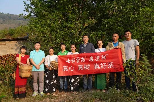 我的“真”你知道丨七彩云南·庆沣祥“全球讲真督茶官”为你鉴真