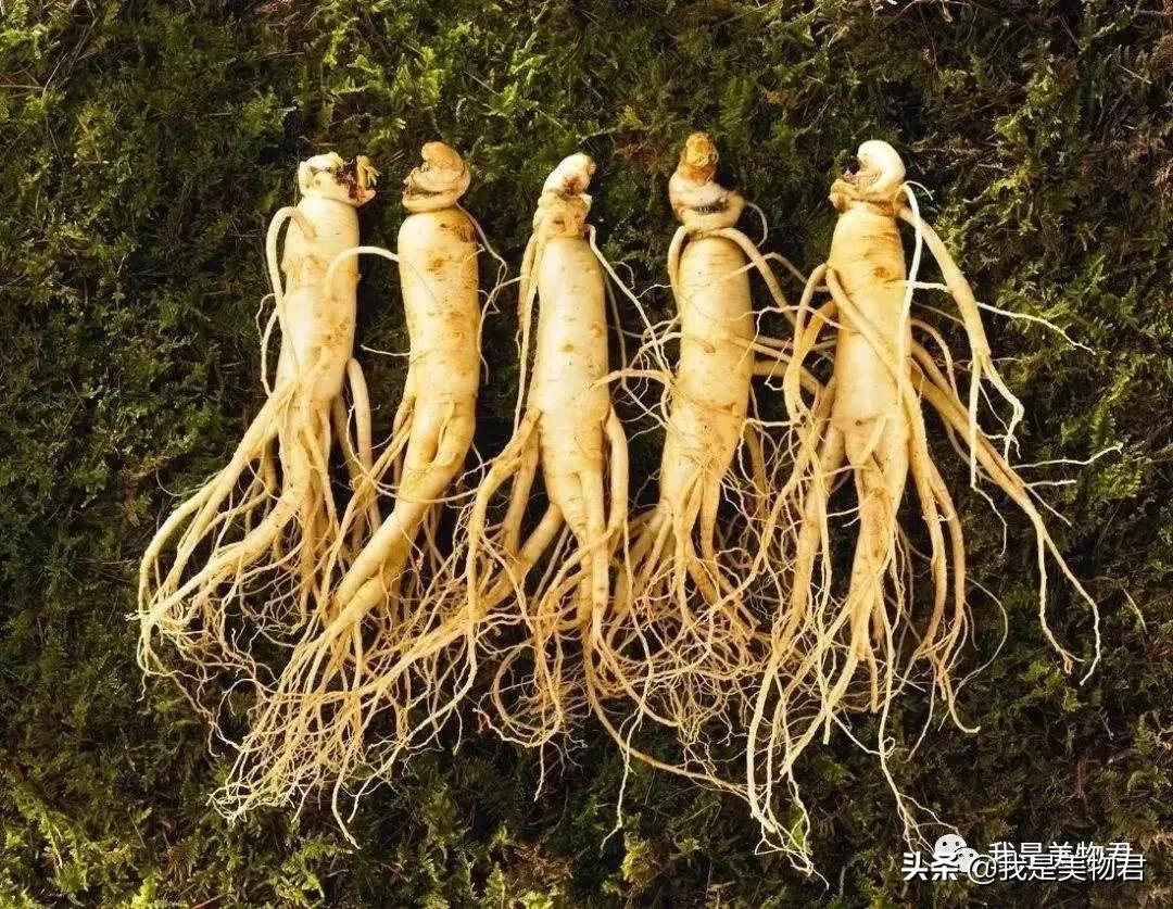 韩国品牌最好的睡眠面膜是哪个呀,韩国睡眠紧致抗皱面膜排行榜