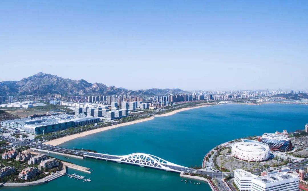 机会与风险共存的案例,机会与风险并存的区别