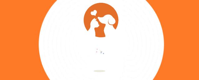 幼犬抽搐口吐白沫查不出犬瘟,狗狗犬瘟抽搐吐大量白沫怎么办