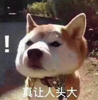 一觉醒来，家里的狗子秃顶了？！