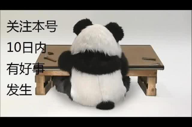 林良铭留洋集锦,林良铭韦世豪张玉宁