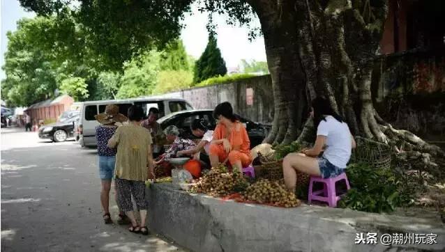广州去南澳岛二天旅游攻略,潮州南澳岛三日旅游攻略