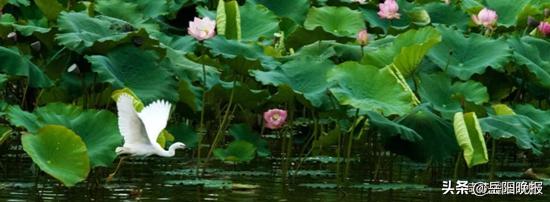 昆明恒大嘉丽泽养生谷复工,滇中新区嘉丽泽恒大养生谷