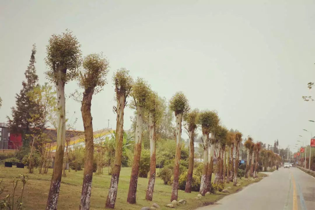 新都民国风情小镇,成都25个特色小镇