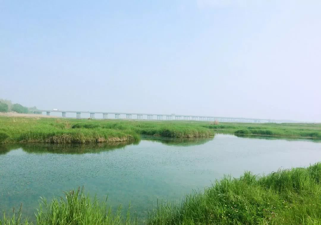 武汉21个免费景点,武汉43个免费景点出炉