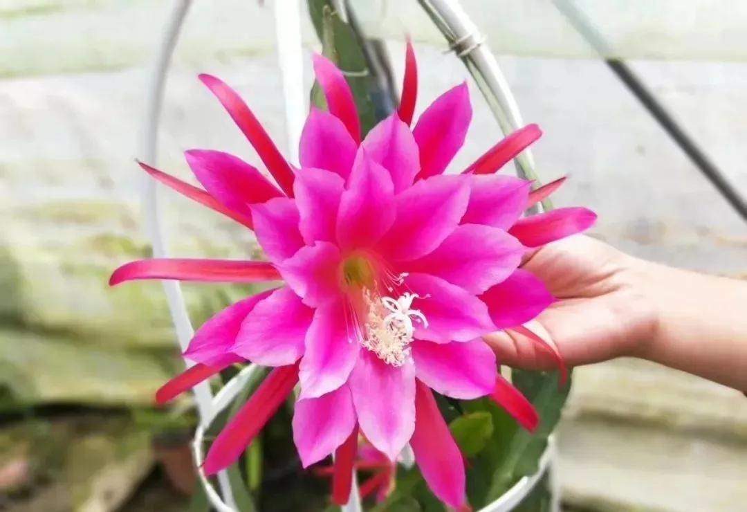 滁州市美景,安徽滁州美丽风景冬天视频