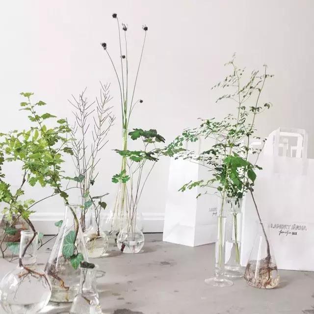 世界上超美的小花店,世界上的小花店