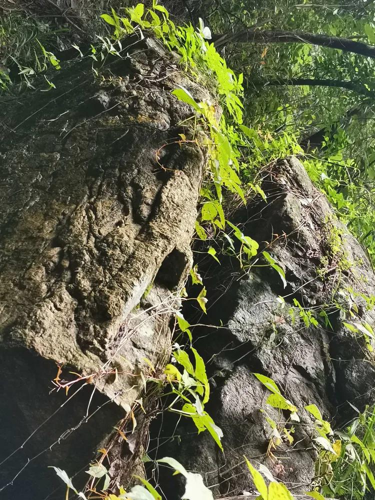 华容山水苑别墅100万,华容秀丽山水风景区